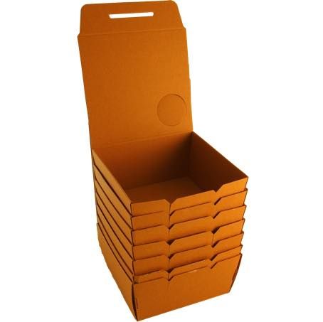 CAJA PAPEL BIO KRAFT TRICAPA CON TAPA TROQUELADA AUTOMONTABLE 200x200x70mm fondo 185x180mm