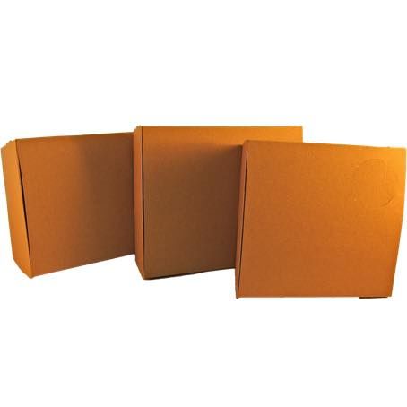 CAJA PAPEL BIO KRAFT TRICAPA CON TAPA TROQUELADA AUTOMONTABLE 180x150x50mm fondo 167x135mm