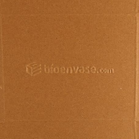 CAJA PAPEL BIO KRAFT TRICAPA CON TAPA TROQUELADA AUTOMONTABLE 180x150x50mm fondo 167x135mm