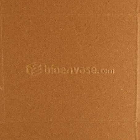 CAJAS PAPEL BIO KRAFT TRICAPA CON TAPA TROQUELADA AUTOMONTABLE 180x150x50mm