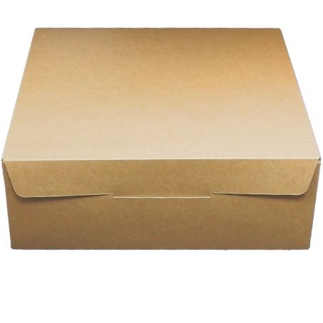 CAJA CARTON CUADRADA AUTOMONTABLE BIO 240X240X120mm ESPECIAL PARA ENVIOS, TARTAS, REGALOS, LIBROS, DESAYUNOS, ETC..