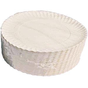 PLATO/BANDEJA CARTON "E" ESTRIADO BLANCO Nº9 270mm