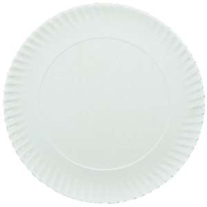 PLATO/BANDEJA CARTON "E" LISO BLANCO Nº11 340mm