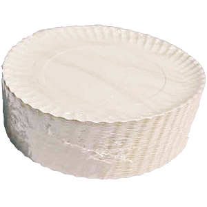 PLATO/BANDEJA CARTON "E" LISO BLANCO N11 340mm