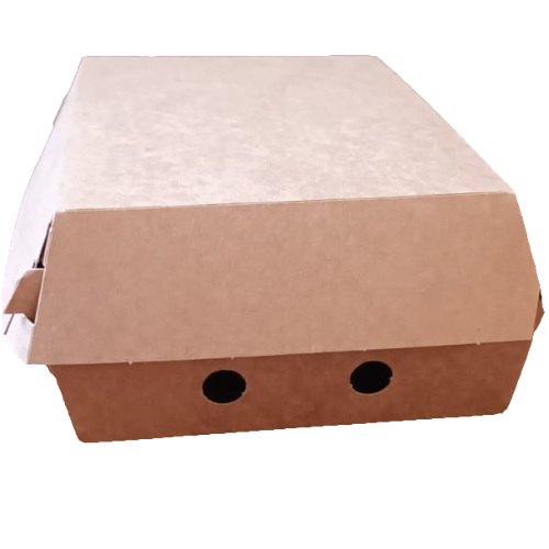 CAJAS CARTON KRAFT 142X102X60mm COFRE