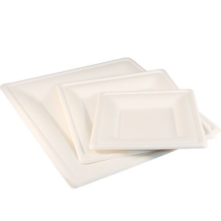 PLATO CAÑA DE AZUCAR CUADRADO 160x160x15mm COMPOSTABLE